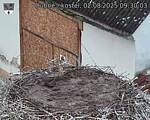 Capi_Dubne_20250802_093003.jpg
