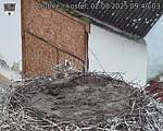 Capi_Dubne_20250802_094003.jpg