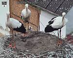 Capi_Dubne_20250802_122503.jpg
