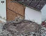 Capi_Dubne_20250802_130503.jpg
