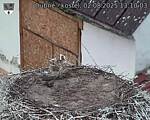Capi_Dubne_20250802_131003.jpg