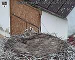 Capi_Dubne_20250802_132003.jpg