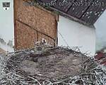Capi_Dubne_20250802_132503.jpg