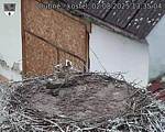 Capi_Dubne_20250802_133504.jpg