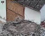 Capi_Dubne_20250802_134003.jpg