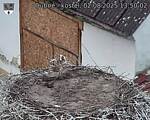 Capi_Dubne_20250802_135002.jpg