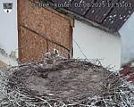 Capi_Dubne_20250802_135503.jpg