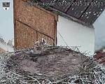 Capi_Dubne_20250802_140503.jpg