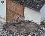 Capi_Dubne_20250802_141003.jpg