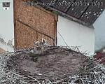 Capi_Dubne_20250802_141503.jpg