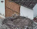 Capi_Dubne_20250802_142503.jpg