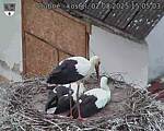 Capi_Dubne_20250802_150503.jpg