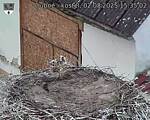 Capi_Dubne_20250802_153502.jpg