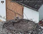Capi_Dubne_20250802_155002.jpg
