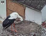 Capi_Dubne_20250802_160504.jpg