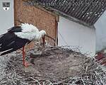 Capi_Dubne_20250802_161002.jpg