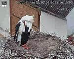 Capi_Dubne_20250802_161503.jpg