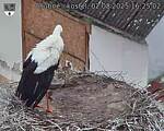 Capi_Dubne_20250802_162502.jpg