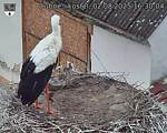 Capi_Dubne_20250802_163004.jpg