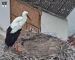 Capi_Dubne_20250802_163502.jpg