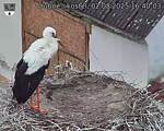 Capi_Dubne_20250802_164003.jpg