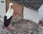 Capi_Dubne_20250802_164502.jpg