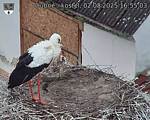 Capi_Dubne_20250802_165503.jpg