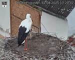 Capi_Dubne_20250802_172002.jpg
