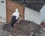 Capi_Dubne_20250802_172504.jpg