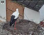 Capi_Dubne_20250802_173502.jpg