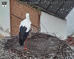 Capi_Dubne_20250802_175503.jpg