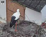 Capi_Dubne_20250802_181004.jpg