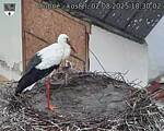 Capi_Dubne_20250802_183002.jpg