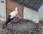 Capi_Dubne_20250802_185003.jpg