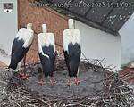 Capi_Dubne_20250802_191503.jpg