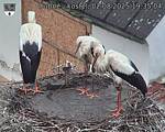 Capi_Dubne_20250802_193504.jpg