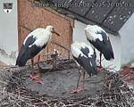 Capi_Dubne_20250802_200503.jpg