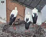 Capi_Dubne_20250802_202002.jpg