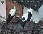 Capi_Dubne_20250802_204003.jpg