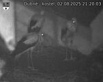 Capi_Dubne_20250802_212003.jpg