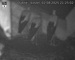 Capi_Dubne_20250802_212502.jpg