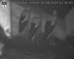 Capi_Dubne_20250802_213003.jpg