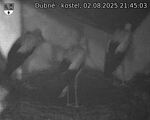 Capi_Dubne_20250802_214503.jpg