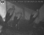 Capi_Dubne_20250802_215502.jpg