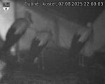 Capi_Dubne_20250802_220003.jpg