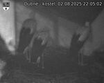 Capi_Dubne_20250802_220502.jpg