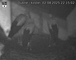 Capi_Dubne_20250802_221502.jpg