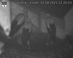 Capi_Dubne_20250802_222003.jpg