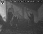 Capi_Dubne_20250802_223003.jpg