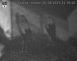 Capi_Dubne_20250802_223502.jpg